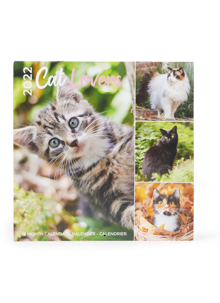 undefined - Calendrier Cat Lovers 2022 - Vert