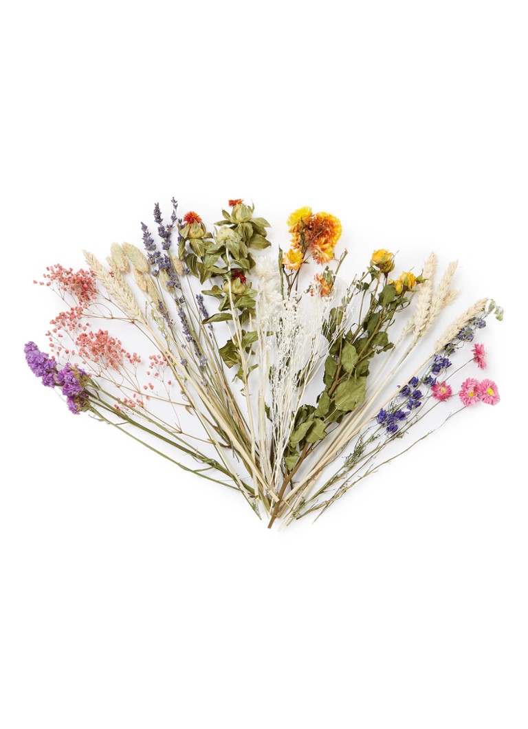 Floriette - Wildflowers by Floriette droogbloemen - Roze