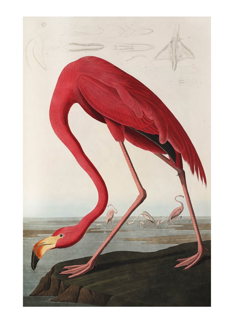 IXXI - Flamingo wanddecoratie 120 x 80 cm - Koraalroze