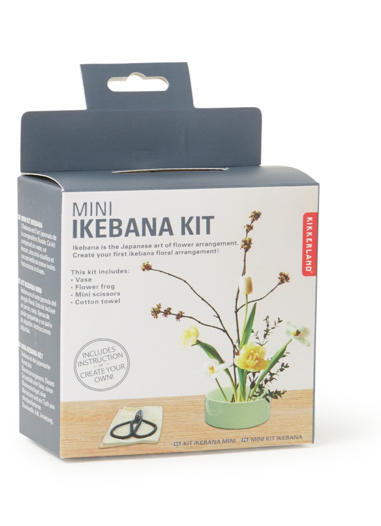 Kikkerland - Mini Ikebana kit - Mint
