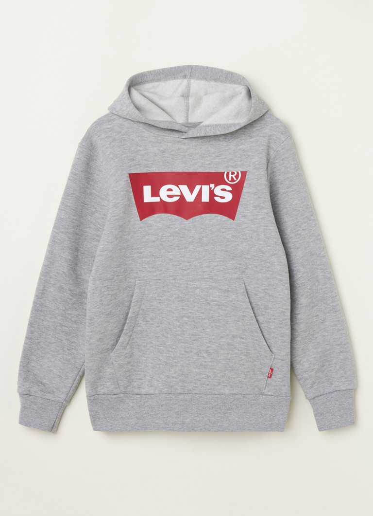 Levi's - Sweat à capuche avec imprimé logo - Gris chiné