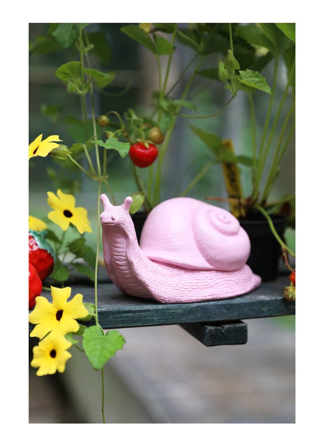 &Klevering Snail spaarpot 10 cm - voorkant 2 roze
