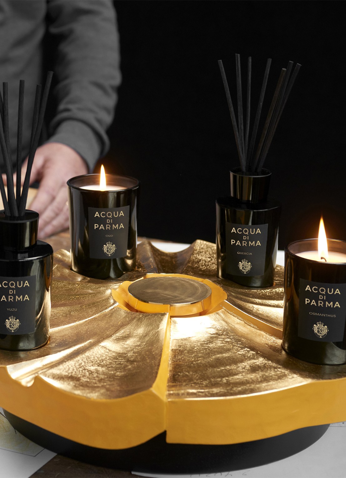 Acqua di Parma Signatures Quercia Diffuser - geurstokjes 180 ml - voorkant 2 undefined
