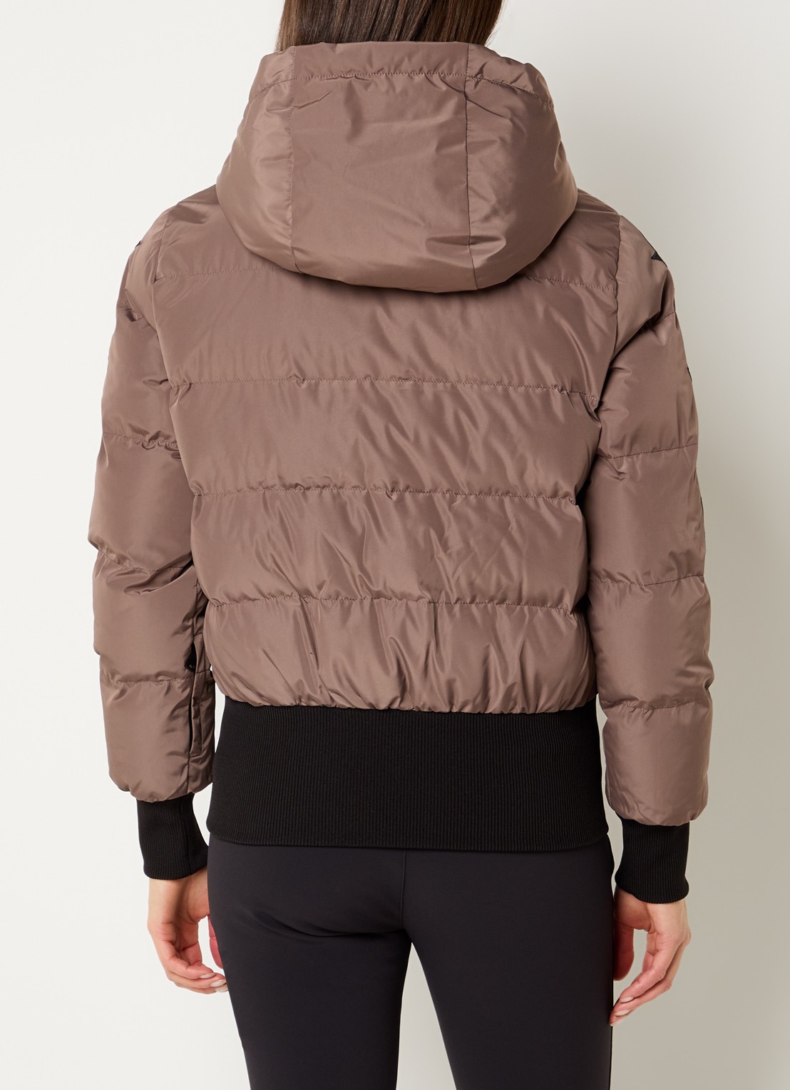 Airforce Nashoba ski-jas met capuchon en waterafstotende coating - achterkant lichtbruin