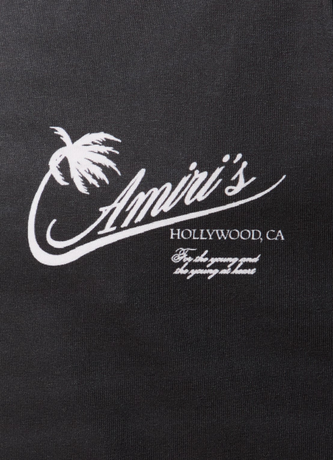 AMIRI Palm T-shirt met logo en print - detail 4 antraciet