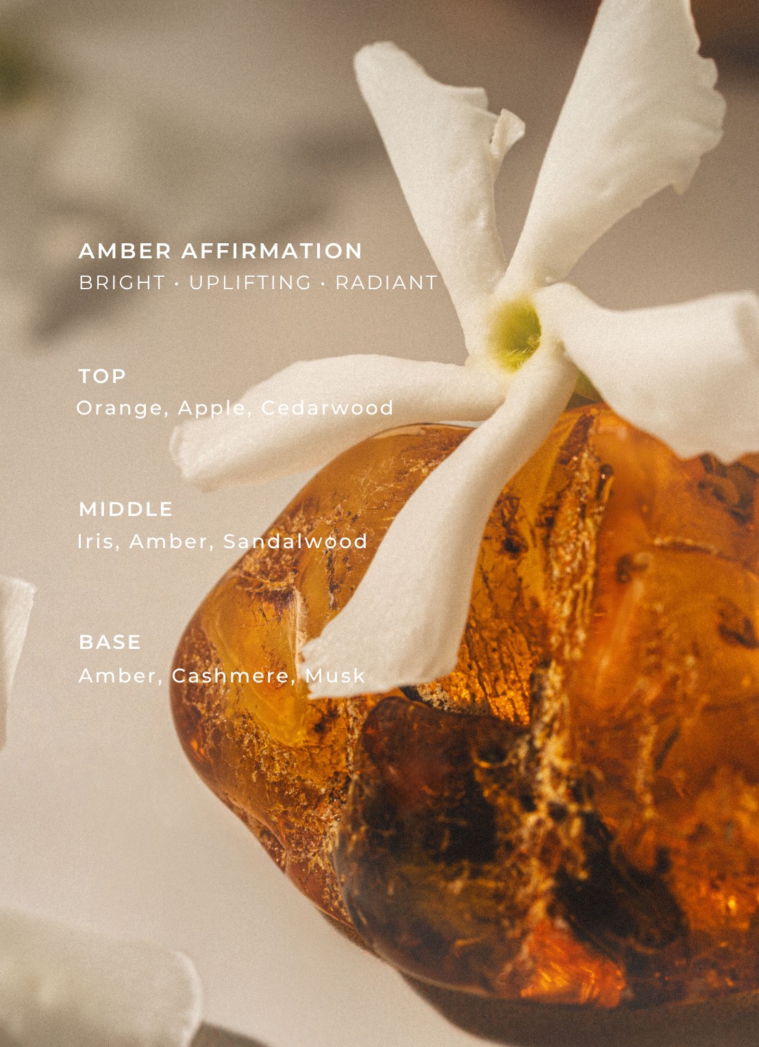 Amoué Amber Affirmation Eau de Parfum - voorkant 2 undefined