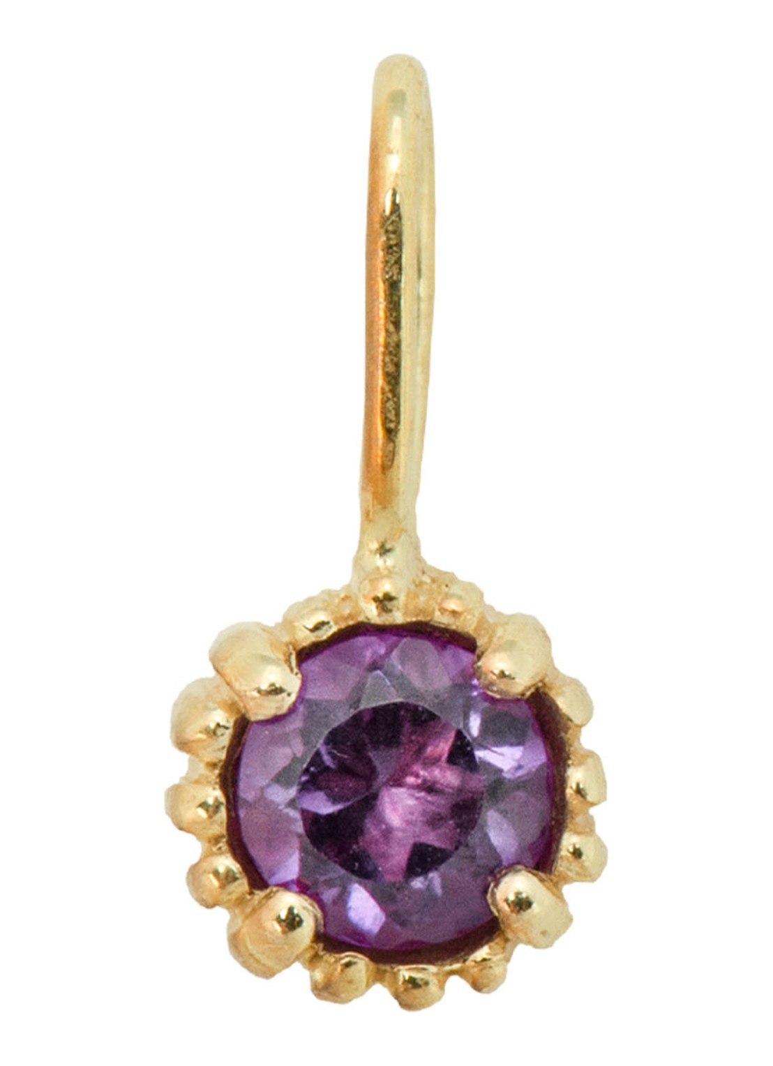 Anna + Nina Birthstone hanger Februari van 14 karaat goud met amethist - voorkant geelgoud