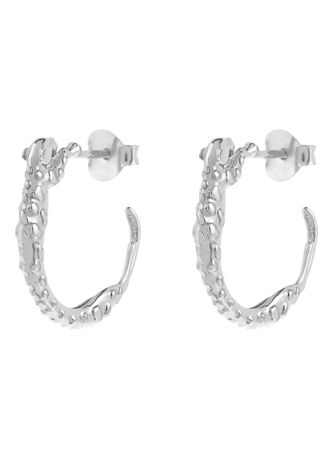 Anna + Nina Small Wild Arc oorringen  - voorkant zilver