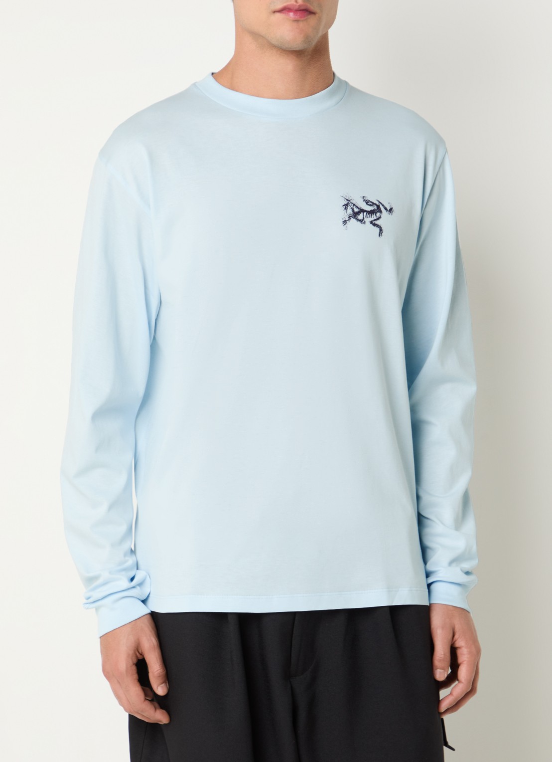 Arc'teryx Kragg longsleeve met logo- en backprint - achterkant 2 lichtblauw