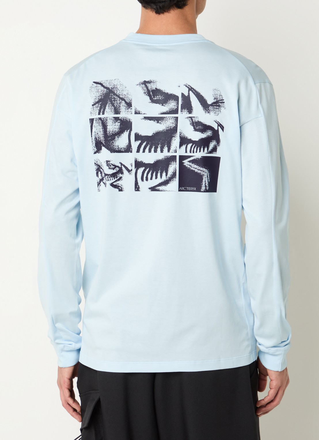 Arc'teryx Kragg longsleeve met logo- en backprint - detail lichtblauw