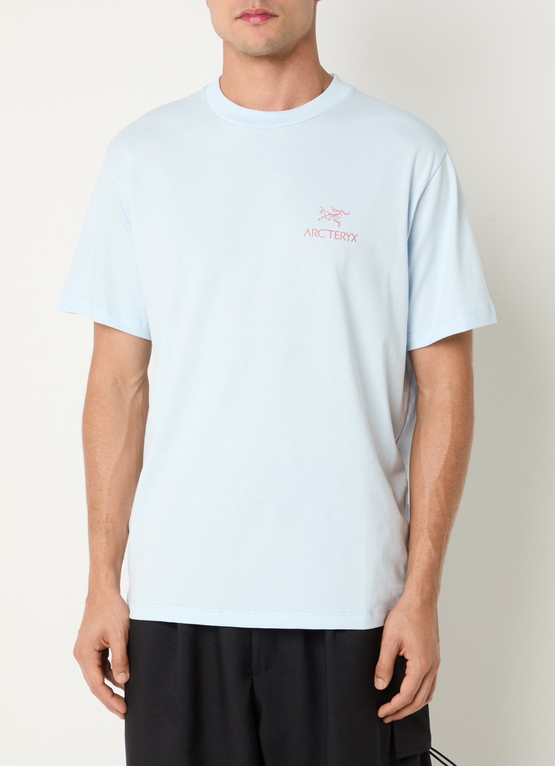 Arc'teryx Kragg T-shirt met logo- en backprint - achterkant lichtblauw