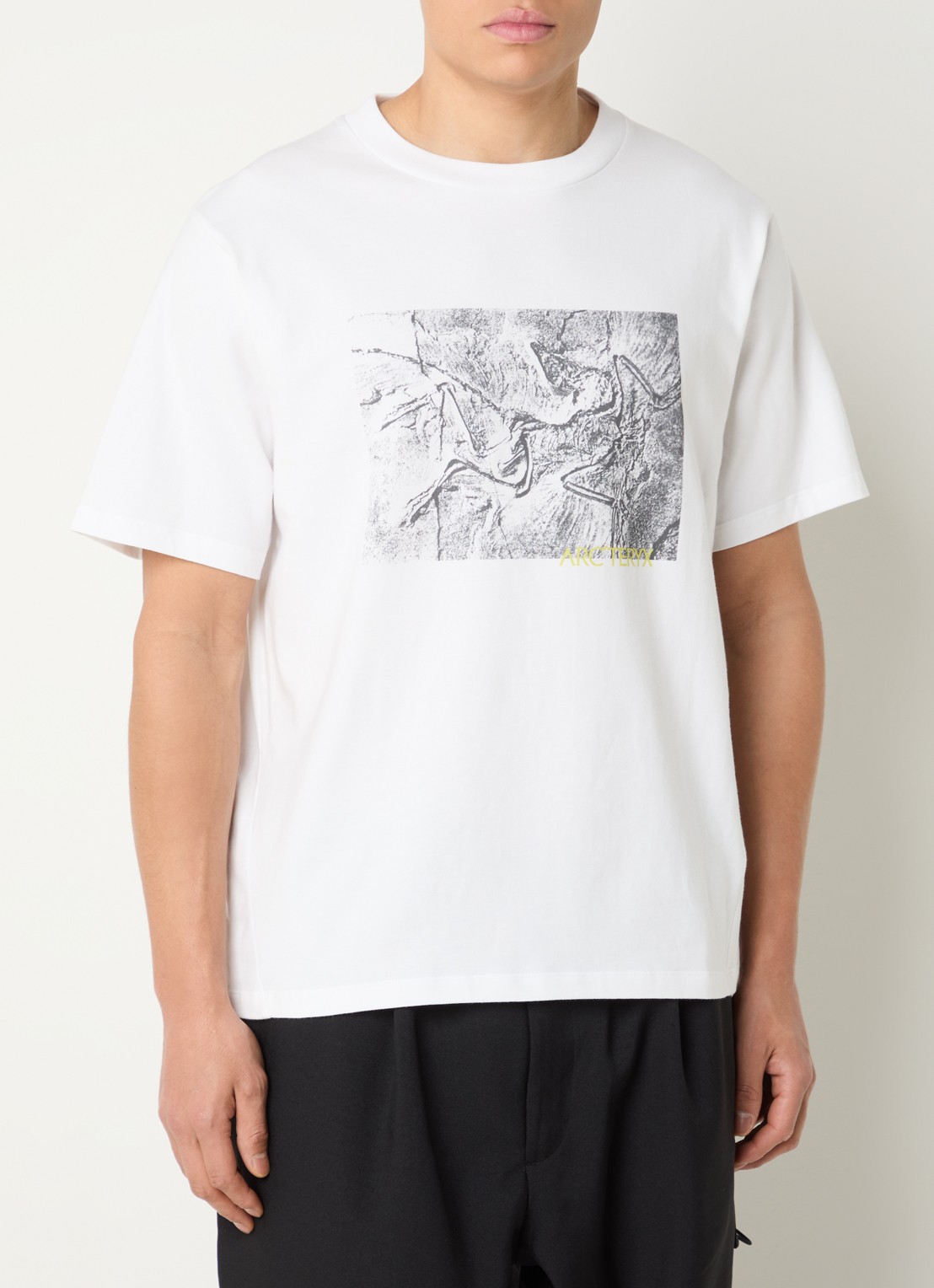 Arc'teryx Kragg T-shirt met print - detail 4 wit