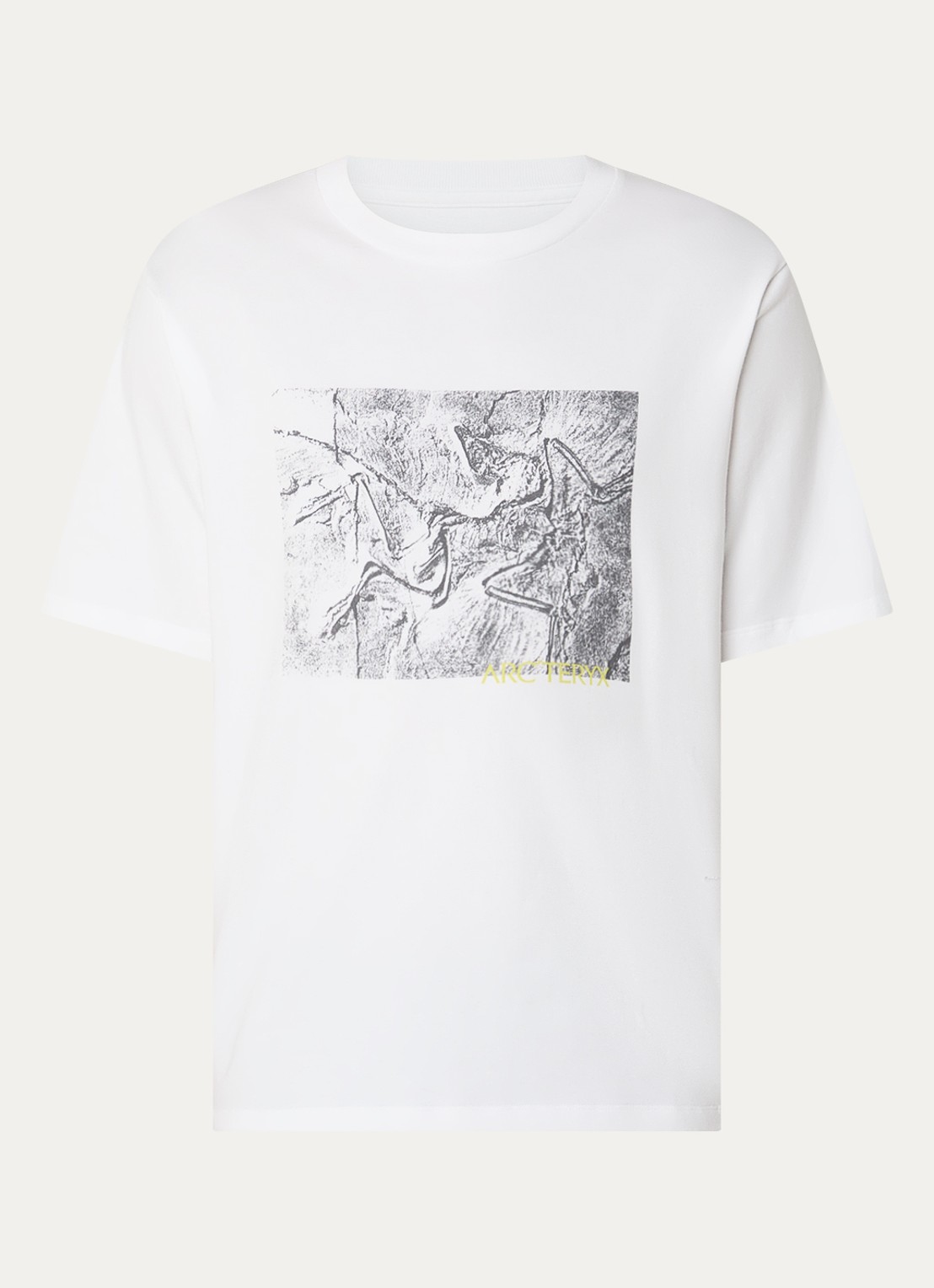 Arc'teryx Kragg T-shirt met print - voorkant wit