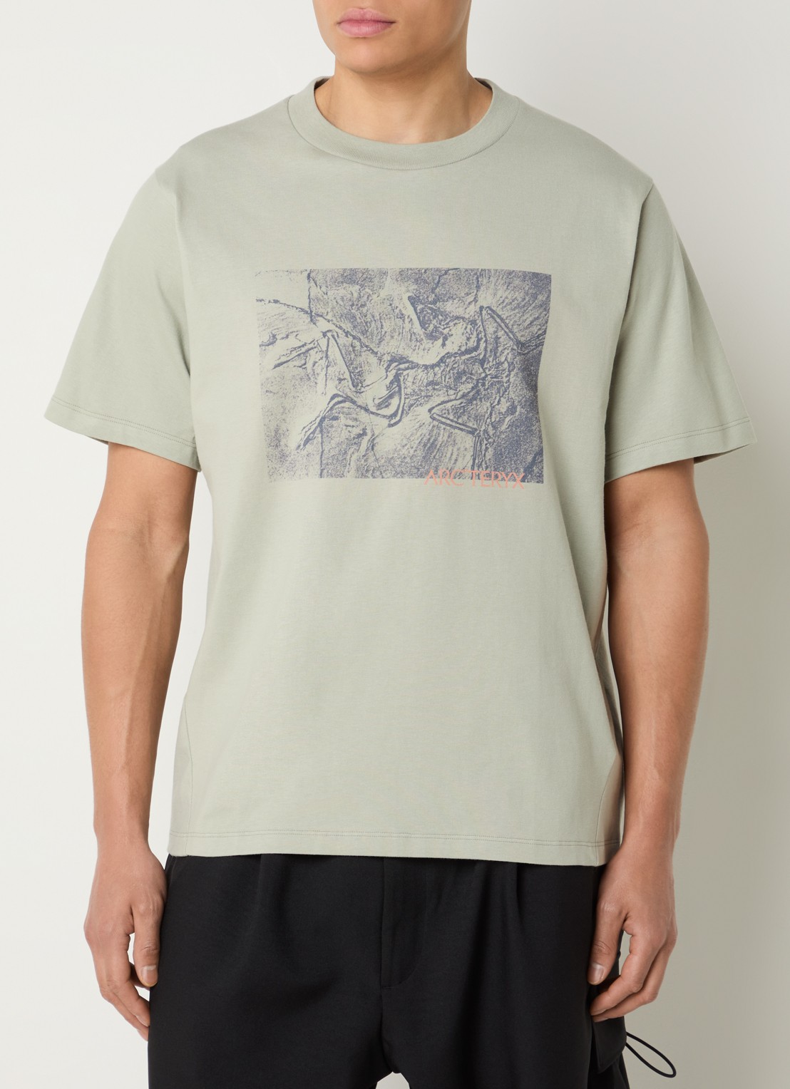 Arc'teryx Kragg T-shirt met print - detail 2 lindegroen