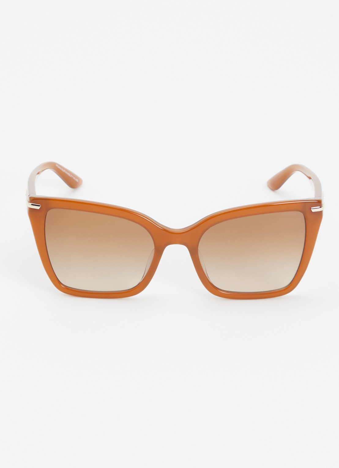 Armani Cat Eye zonnebril EA4273BU - detail 2 lichtbruin