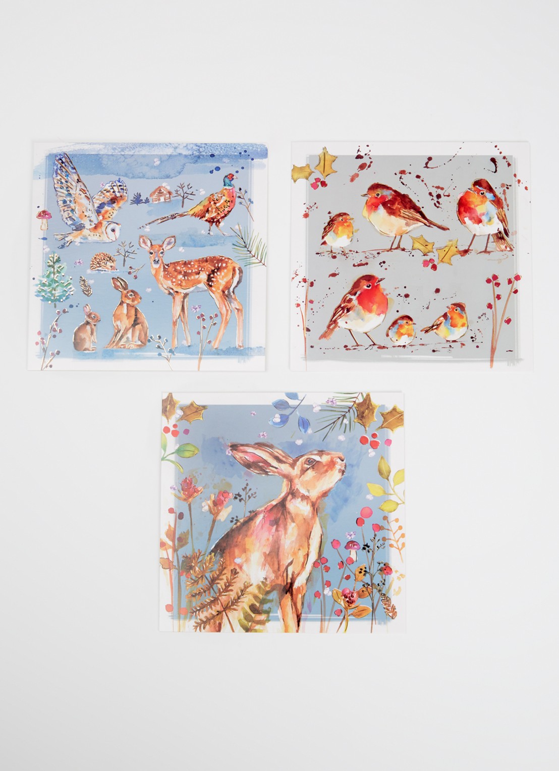 Art Group The Almanac Gallery, Wilde Dieren - 3 designs -  kerstkaart met envelop - set van 12 - voorkant 3 multicolor