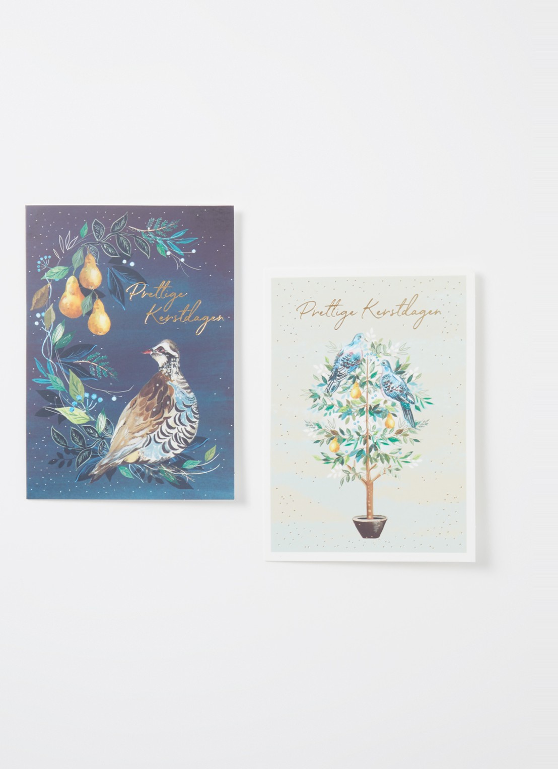 Art Group Vogels met peren kerstkaart - 2 designs - set van 10 inclusief enveloppen - voorkant 2 abrikoos