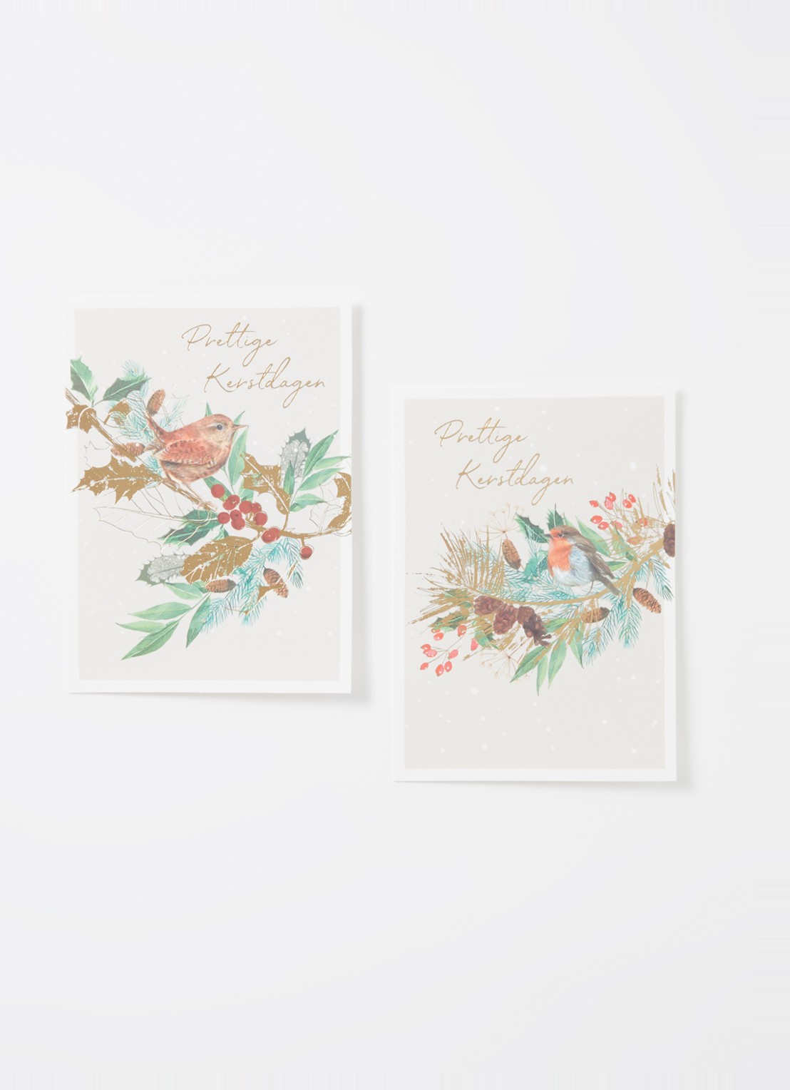 Art Group Vogels op tak kerstkaart - 2 designs - set van 10 inclusief enveloppen - voorkant 2 groen