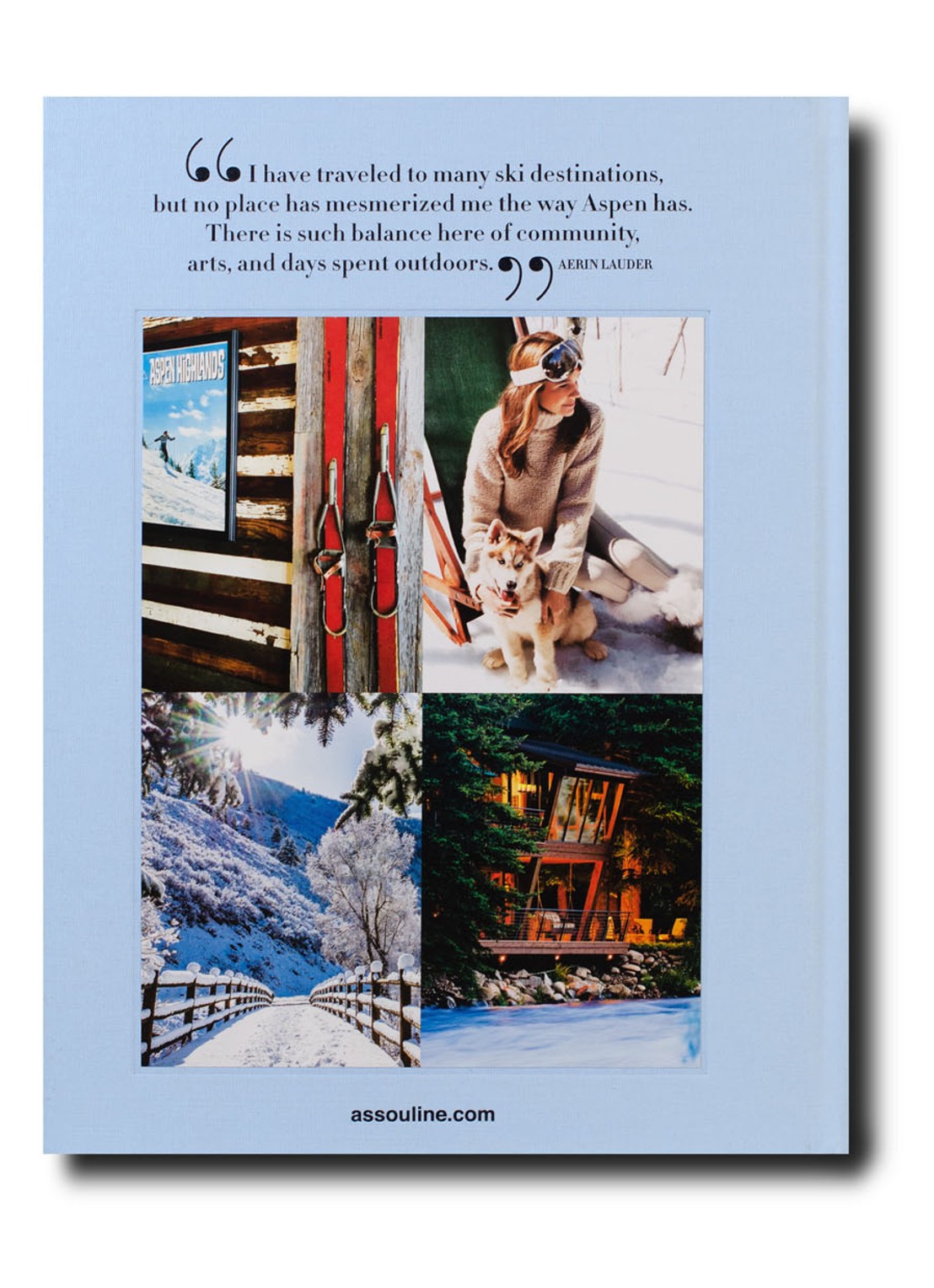 Assouline Aspen Style - detail 4 lichtblauw