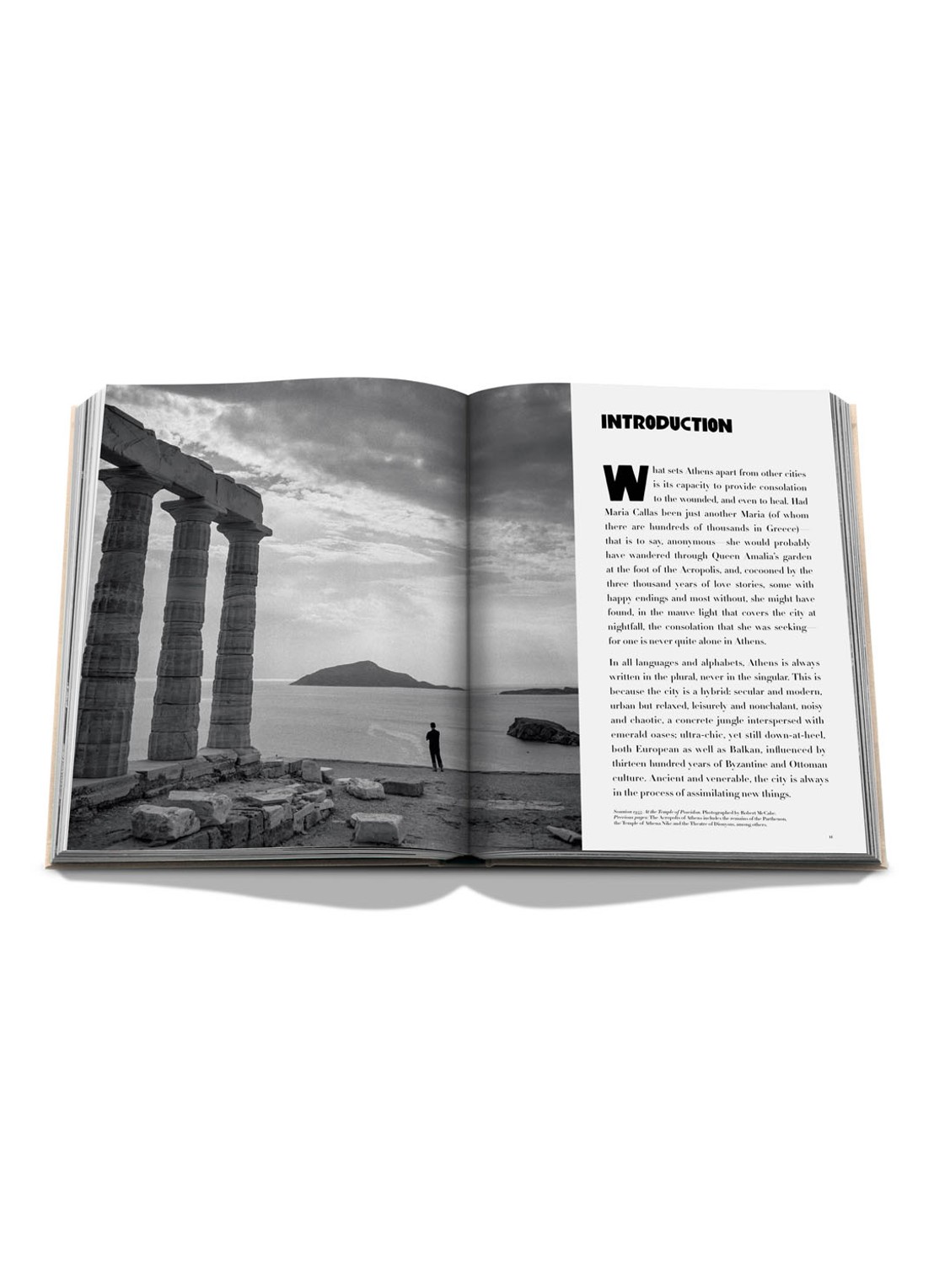 Assouline Athens Riviera - detail 4 beige