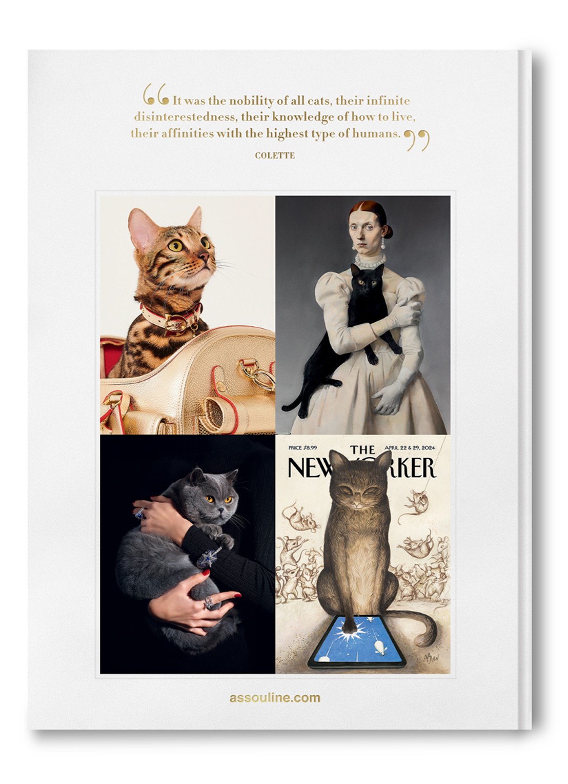 Assouline Chic Cats - achterkant 6 multicolor