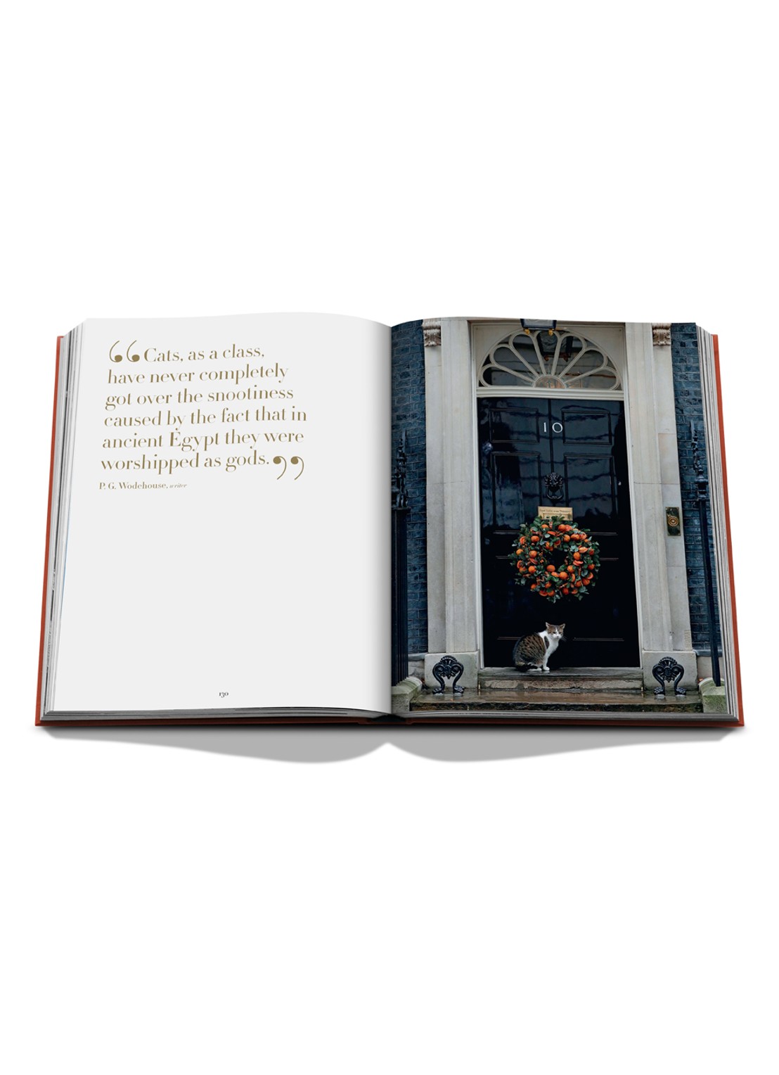 Assouline Chic Cats - detail multicolor