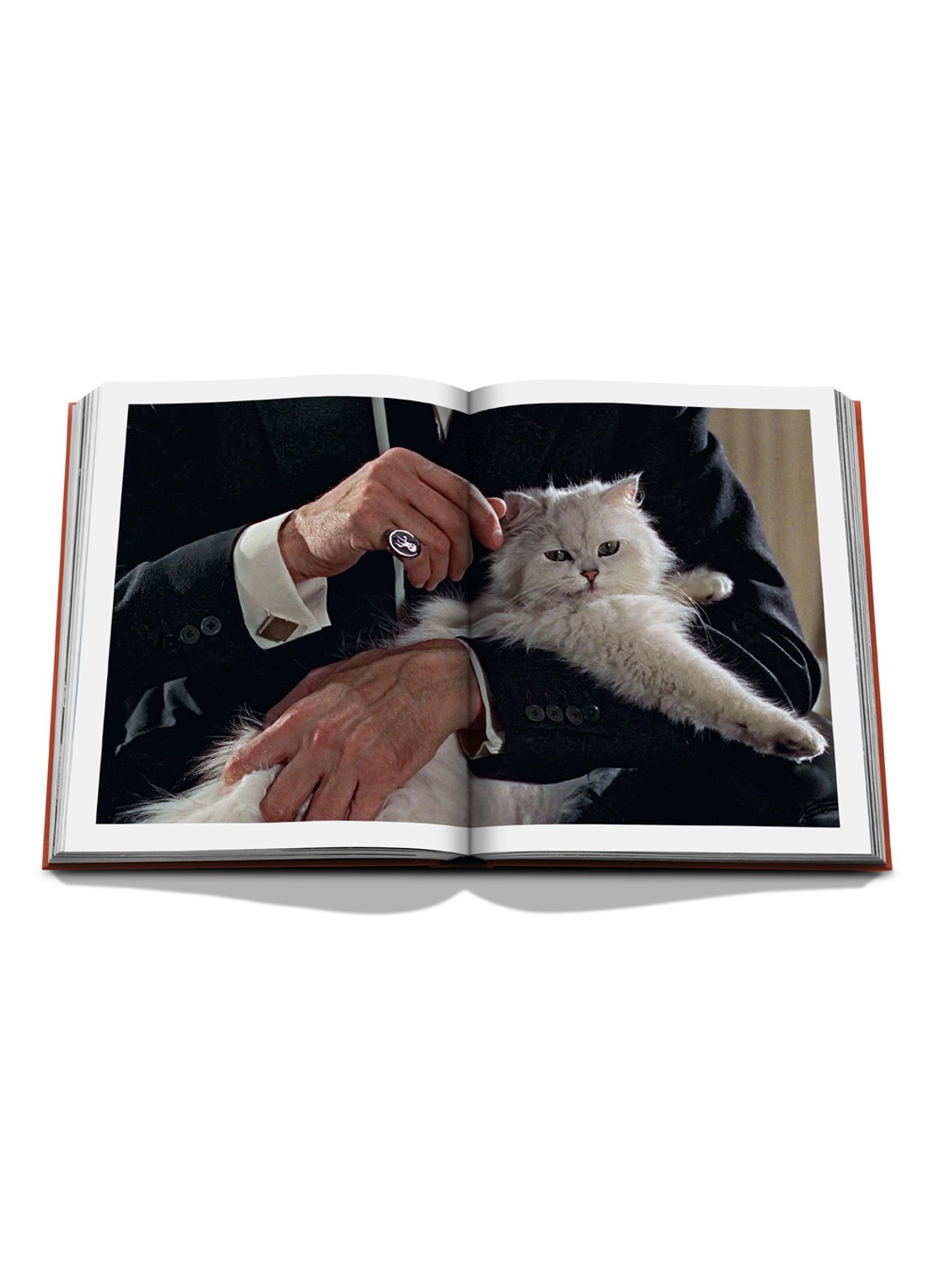 Assouline Chic Cats - detail 3 multicolor