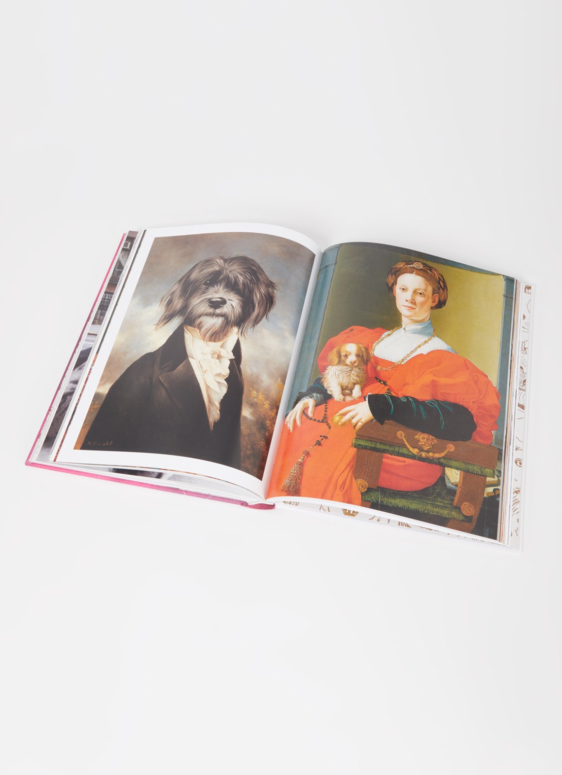 Assouline Chic Dogs - detail 2 multicolor