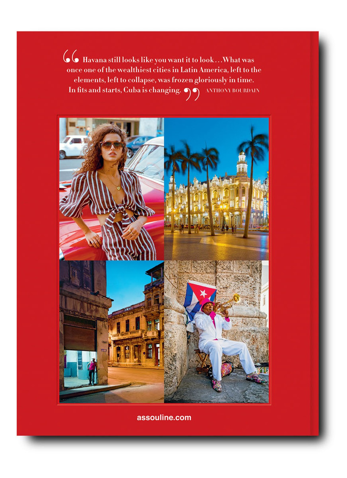 Assouline Havanas Blues - detail 3 steenrood