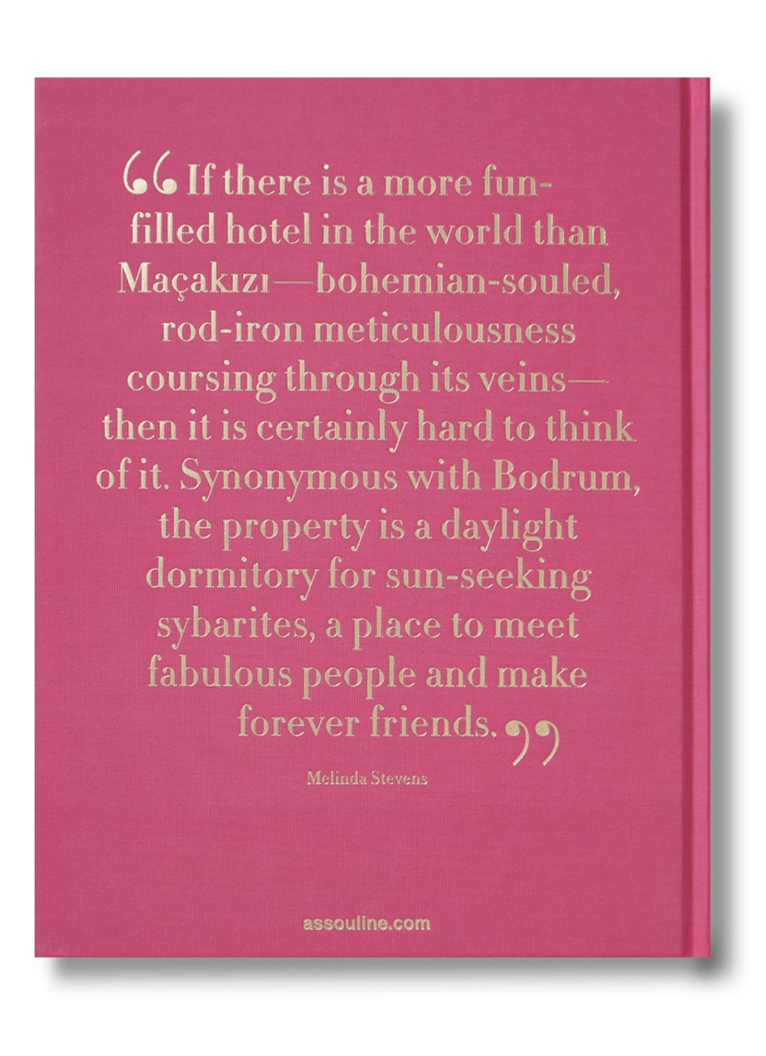 Assouline Maçakızı: Everlasting Summer - achterkant 3 multicolor