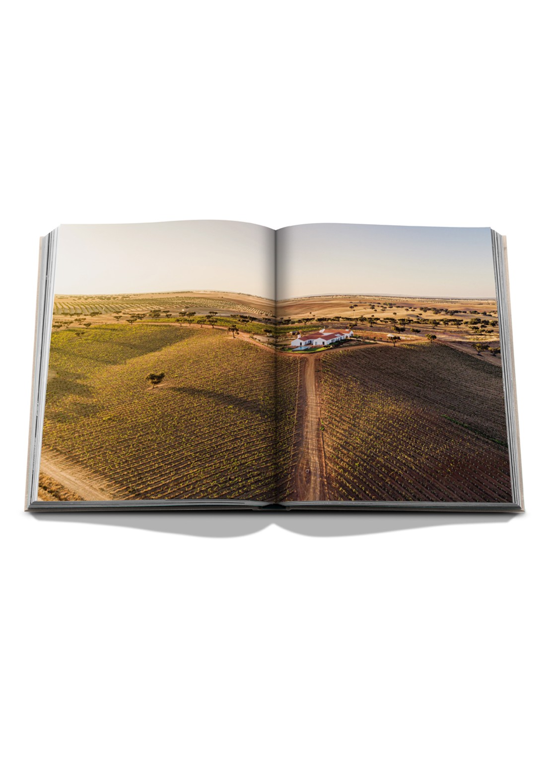 Assouline Malhadinha: The Soul of Alentejo - detail 4 multicolor