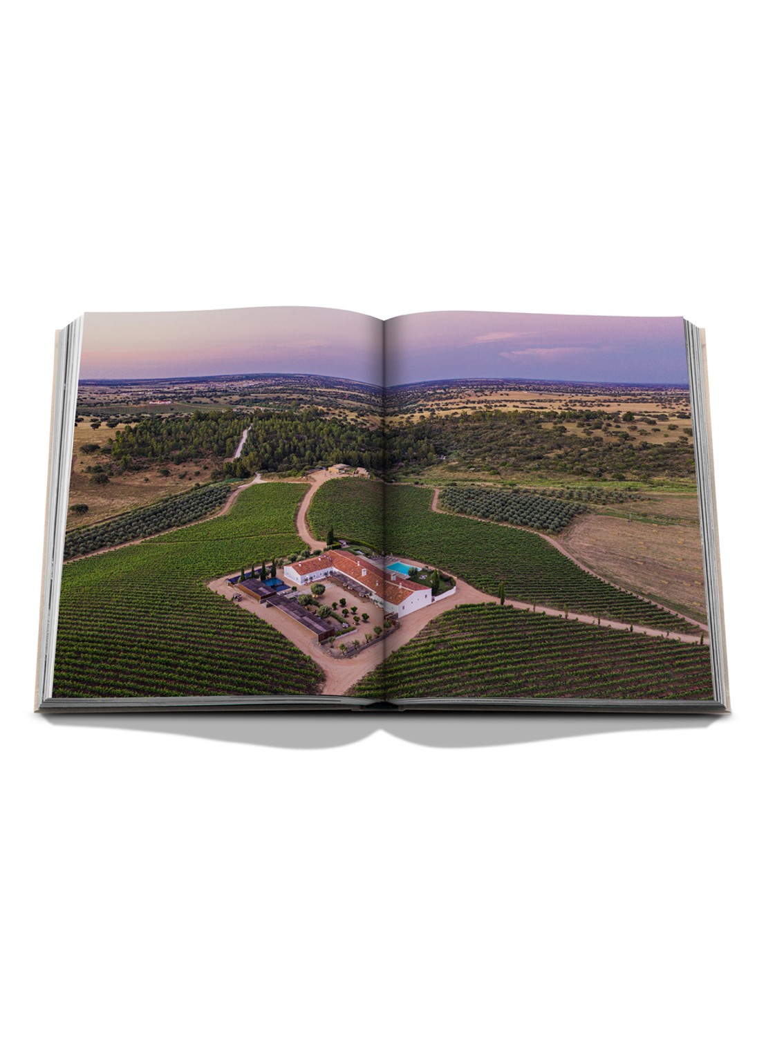Assouline Malhadinha: The Soul of Alentejo - detail 5 multicolor