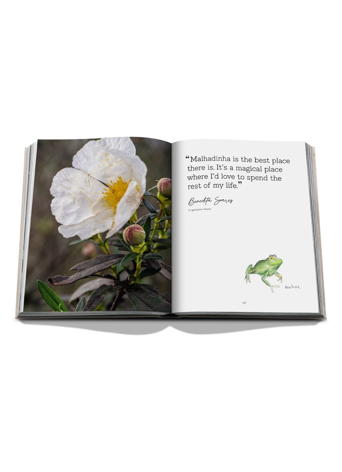 Assouline Malhadinha: The Soul of Alentejo - detail 7 multicolor