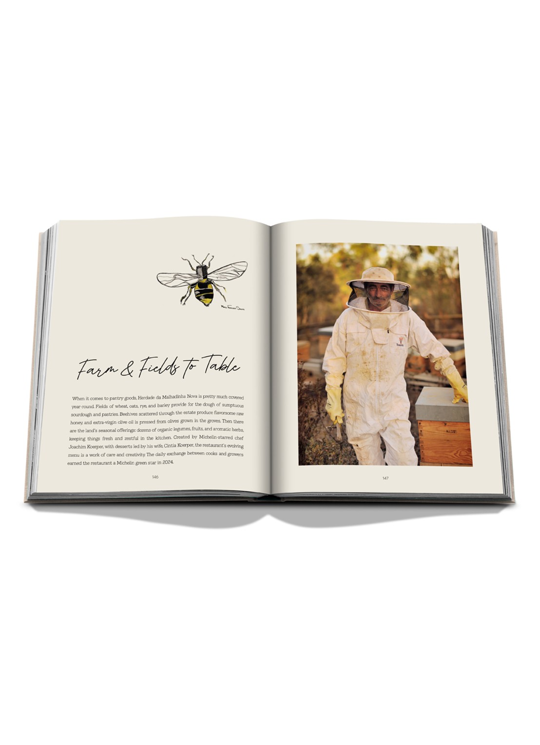 Assouline Malhadinha: The Soul of Alentejo - detail 8 multicolor