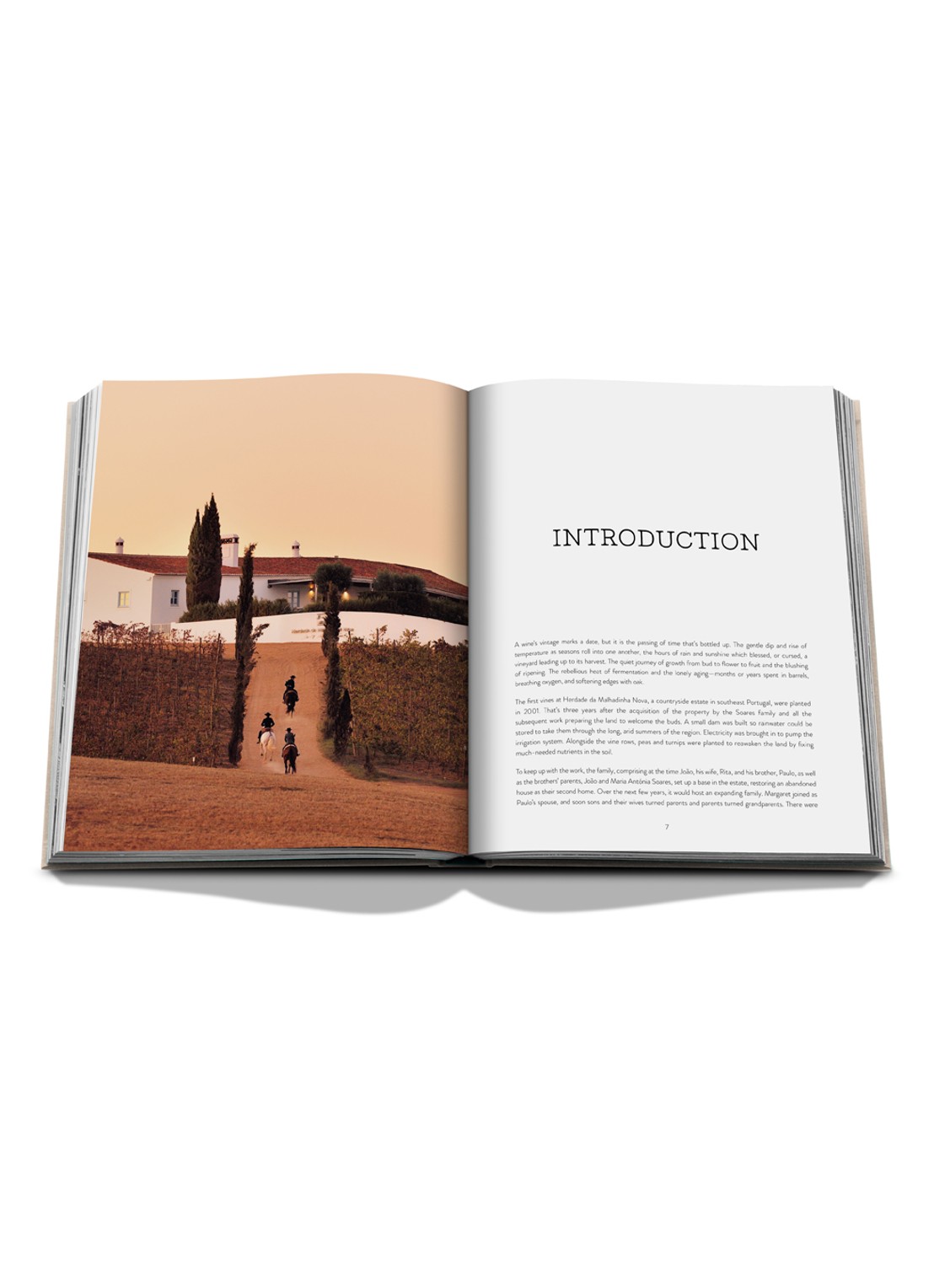 Assouline Malhadinha: The Soul of Alentejo - voorkant 2 multicolor