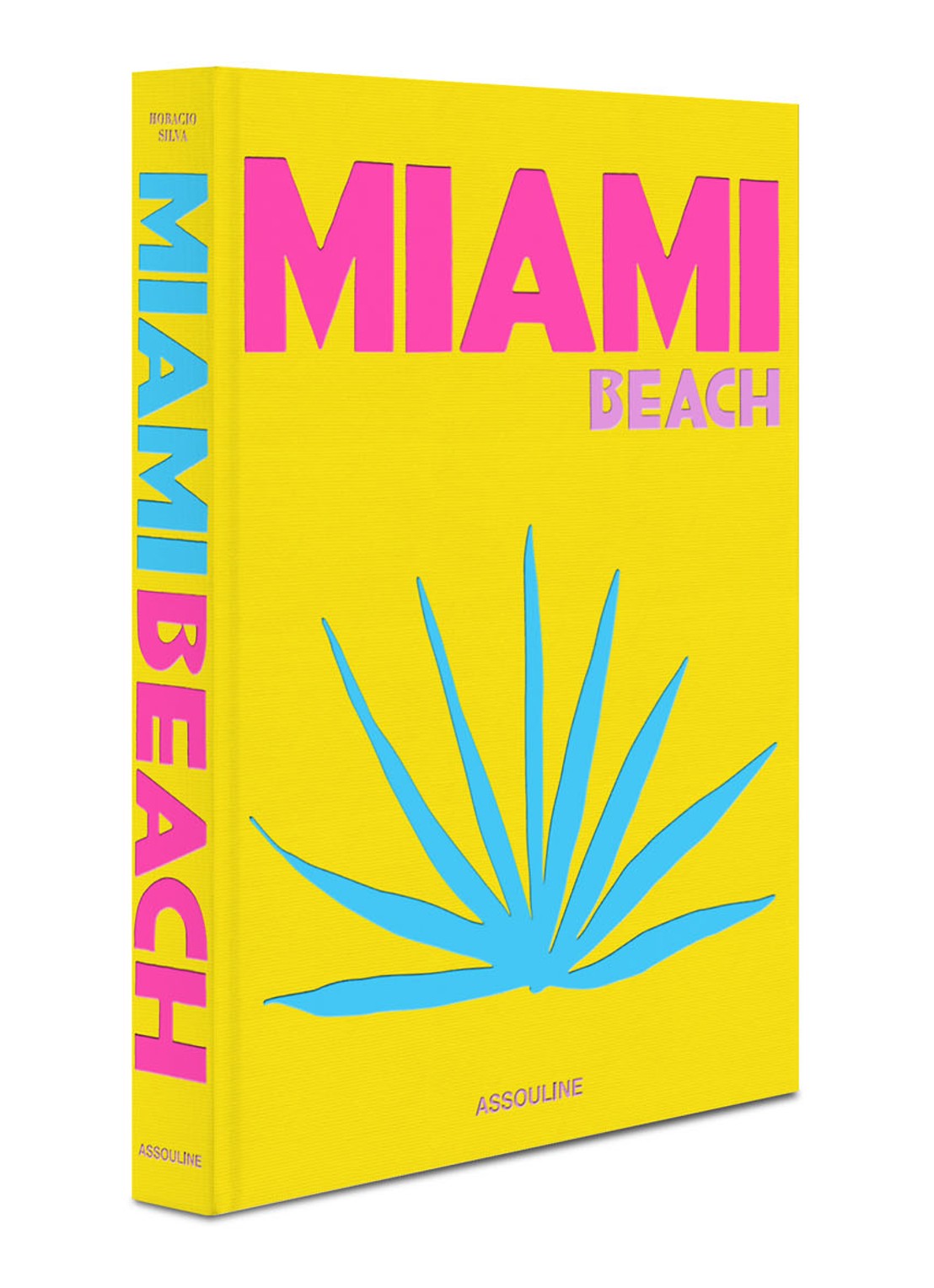 Assouline Miami Beach - detail 3 geel