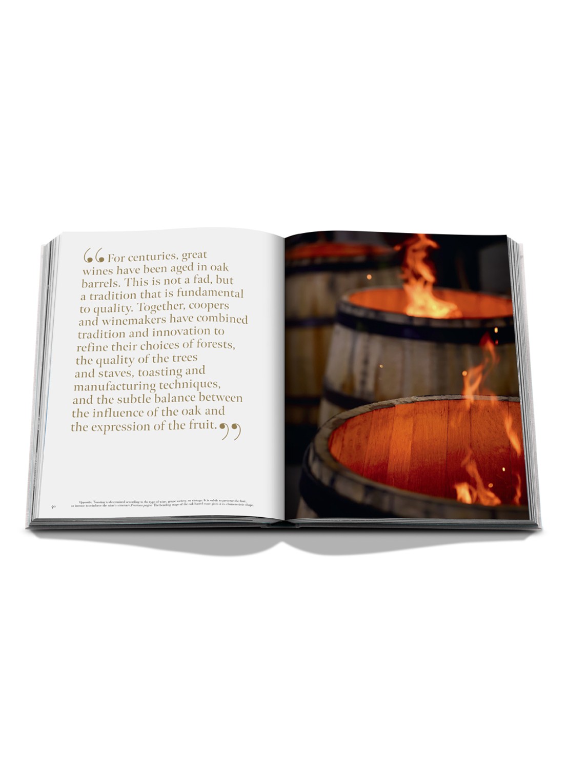 Assouline Oak, Wine & Spirits: A Tale of Alchemy - detail 4 multicolor