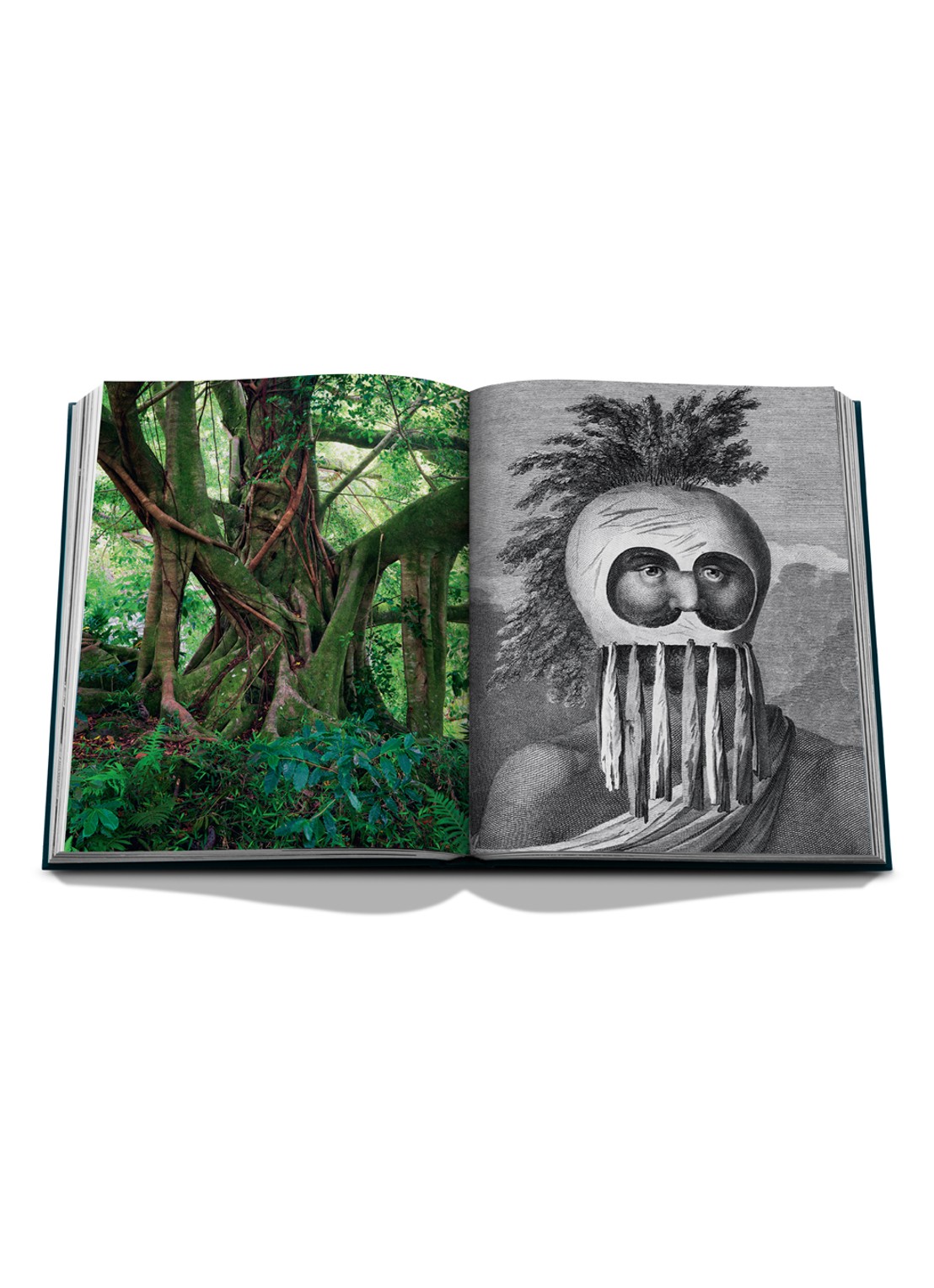 Assouline Pacific Islands: James Cook Voyages - detail 8 multicolor