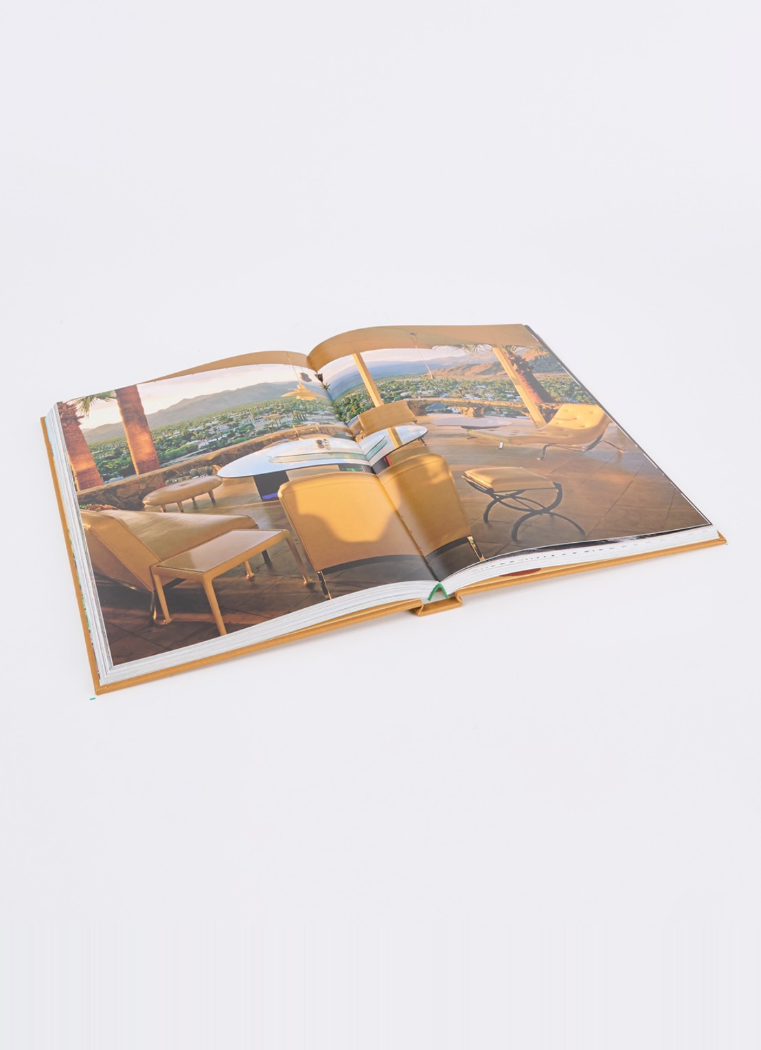 Assouline Palm Springs - voorkant 2 bruin