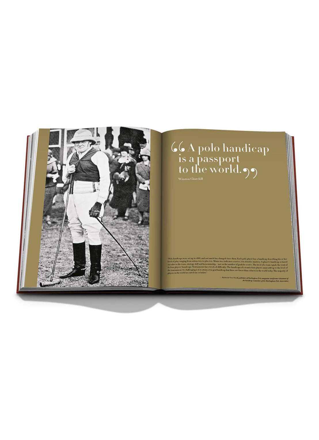 Assouline Polo Heritage - detail 3 bordeauxrood