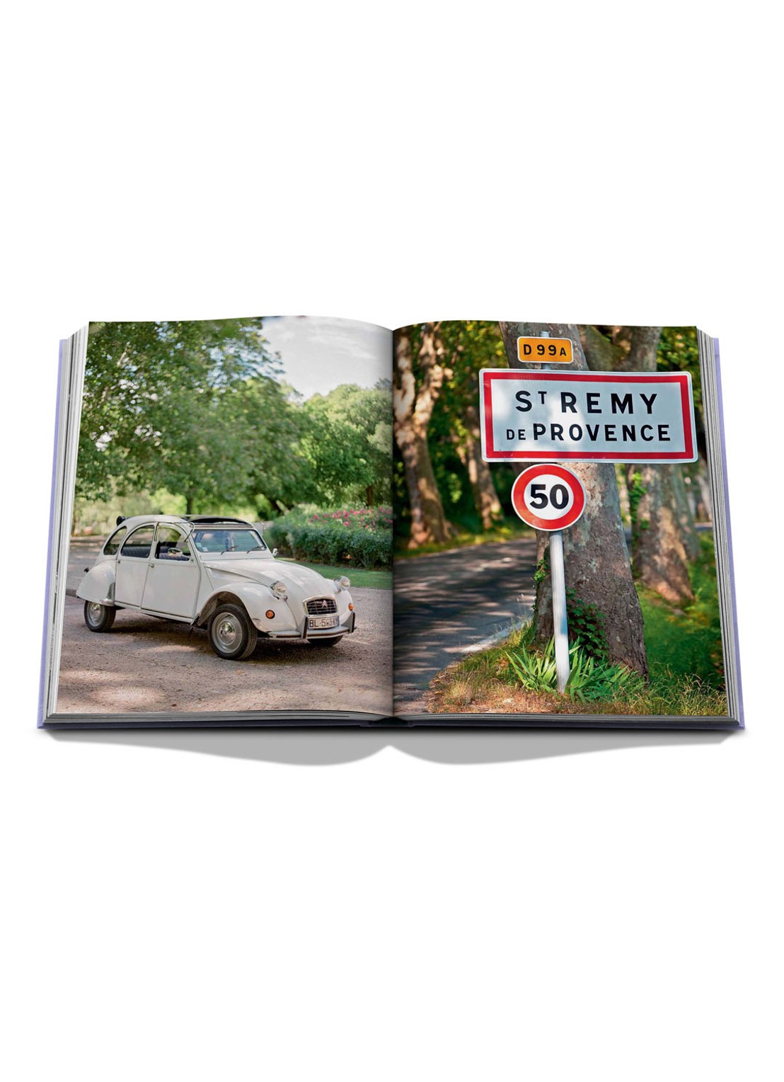 Assouline Provence Glory - detail 4 lila