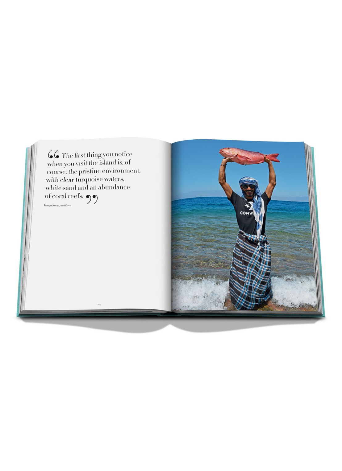 Assouline Red Sea: The Saudi Coast - detail 5 turquoise