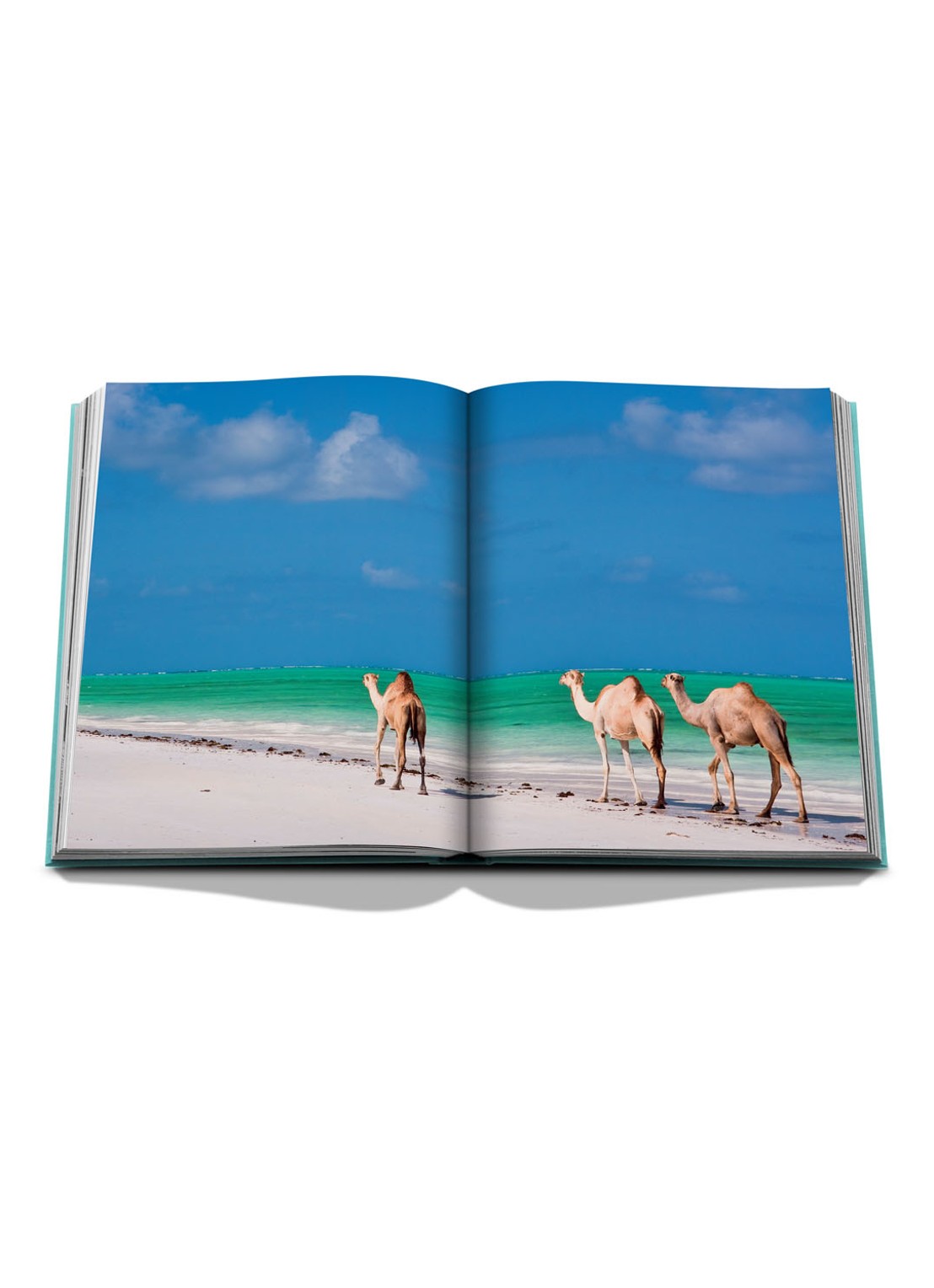 Assouline Red Sea: The Saudi Coast - voorkant 2 turquoise
