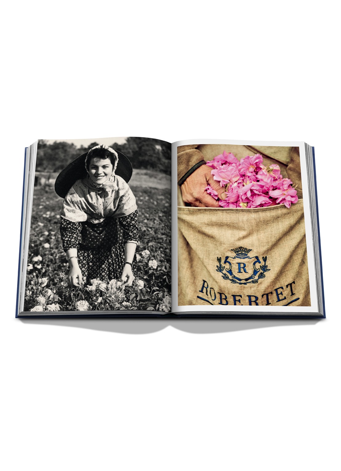 Assouline Robertet: From Seed to Scent - detail 4 multicolor