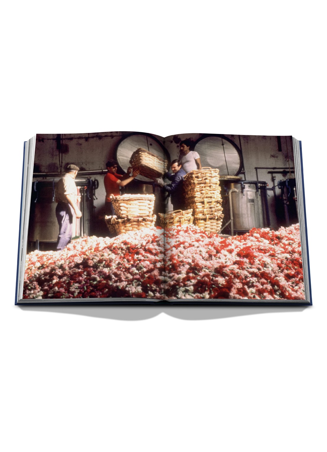 Assouline Robertet: From Seed to Scent - detail 5 multicolor