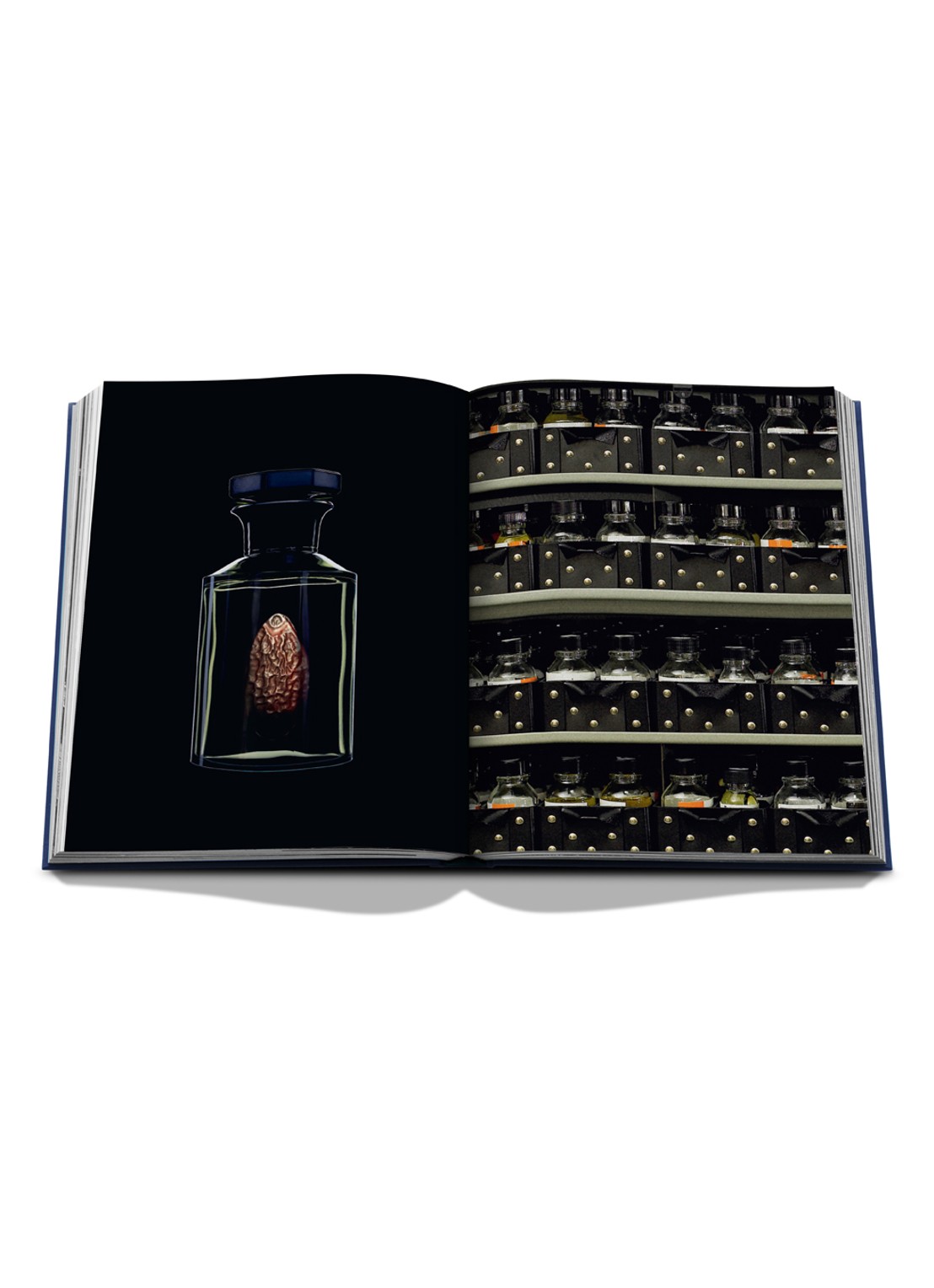Assouline Robertet: From Seed to Scent - detail 6 multicolor