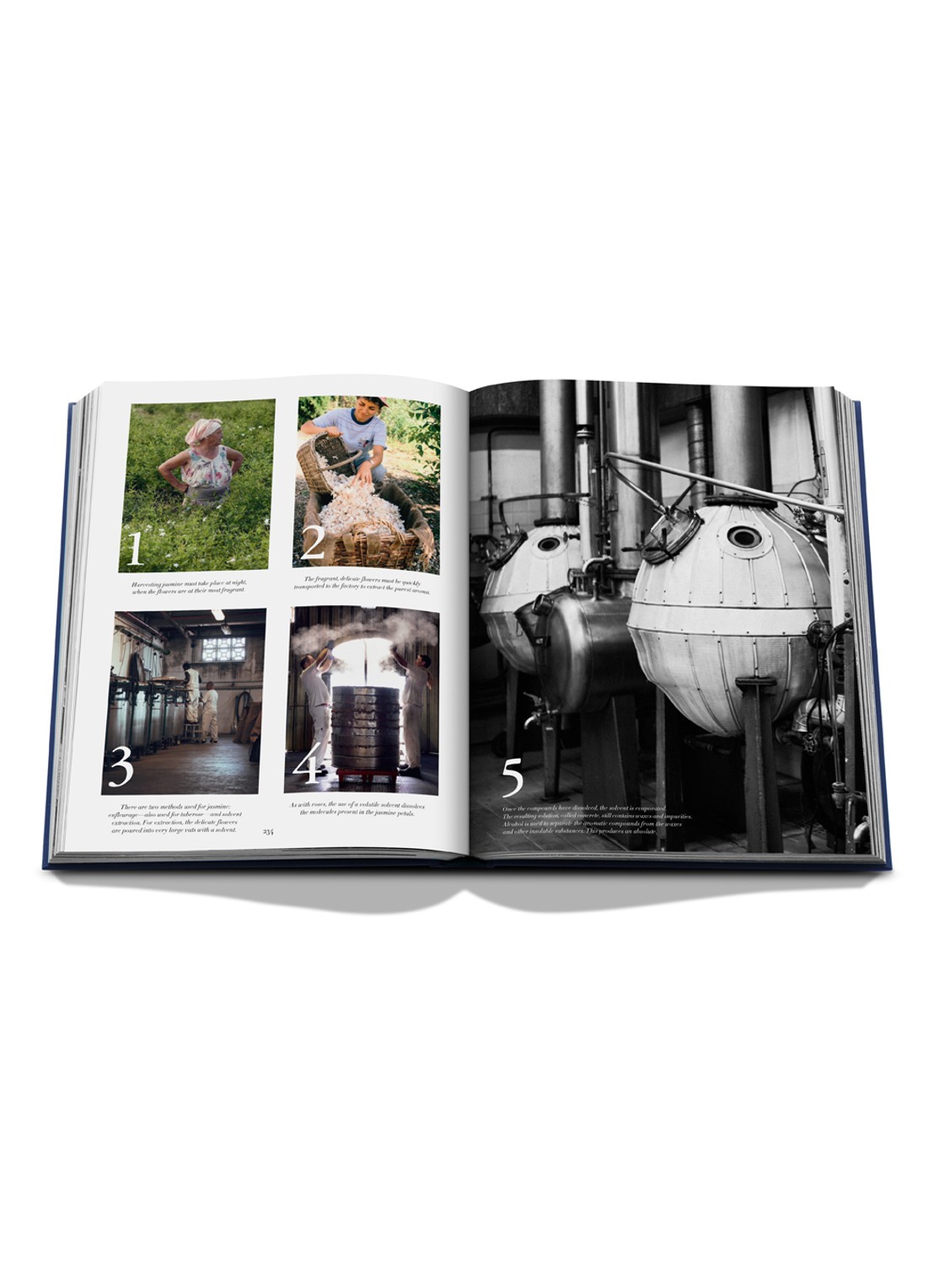 Assouline Robertet: From Seed to Scent - detail 7 multicolor
