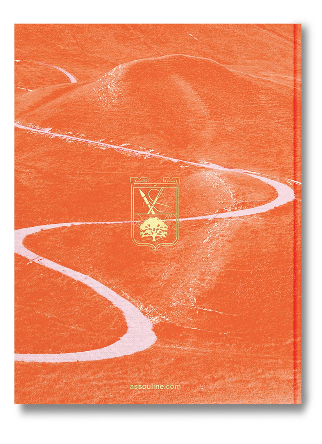 Assouline Santoni Meraviglia - detail 3 orange