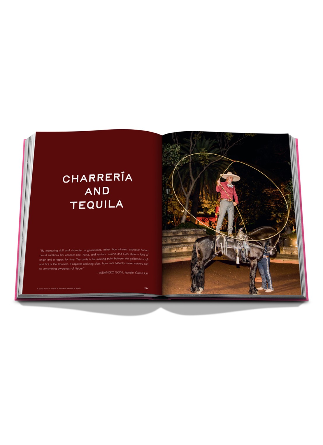 Assouline The Art of Tequila: Spirit of Mexico - detail 4 multicolor