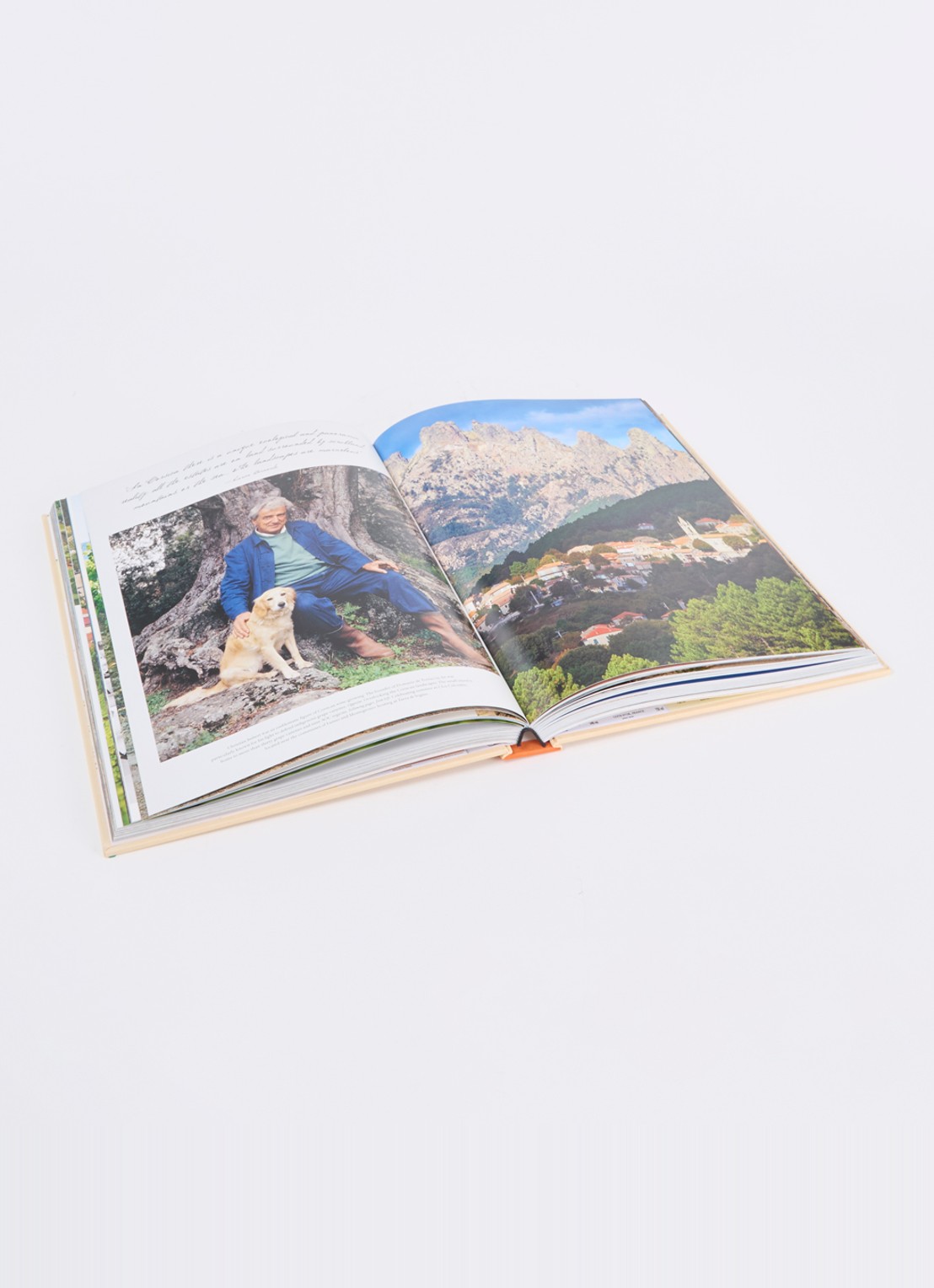 Assouline Wine & Travel France - voorkant 2 orange